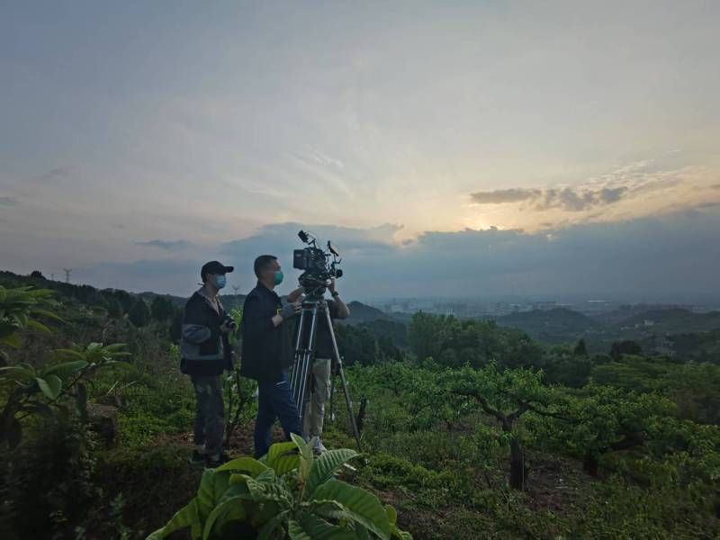 创意破圈！赣州电商产品宣传视频用故事化叙事引爆流量