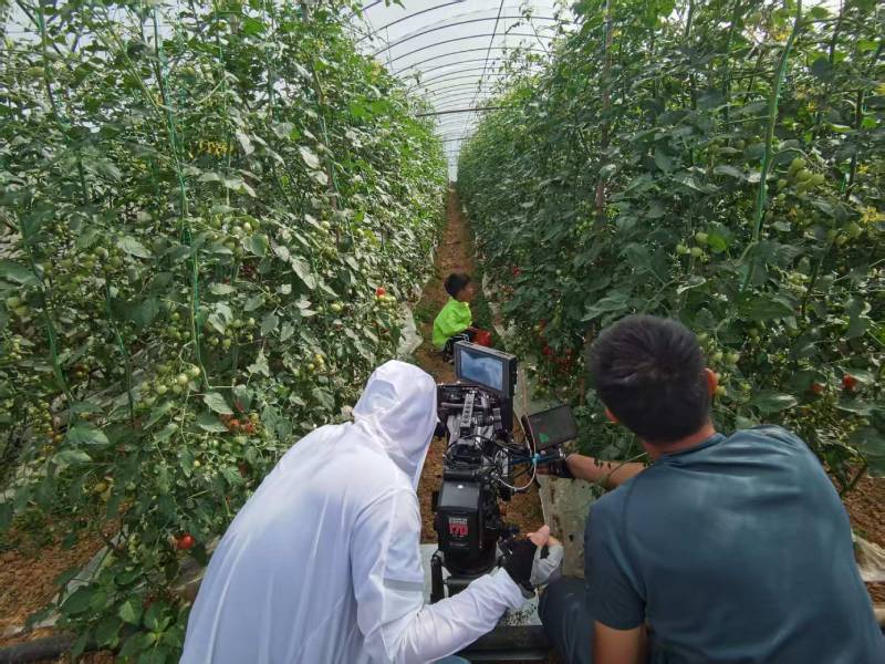 赣州产品宣传视频拍摄公司进阶指南，助力品牌抢占传播高地